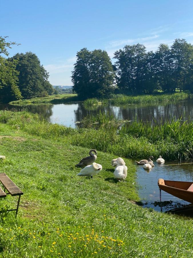 Idyllische Ferienwohnungen In Mossendorf Blick Zur Naab Burglengenfeld Exterior foto